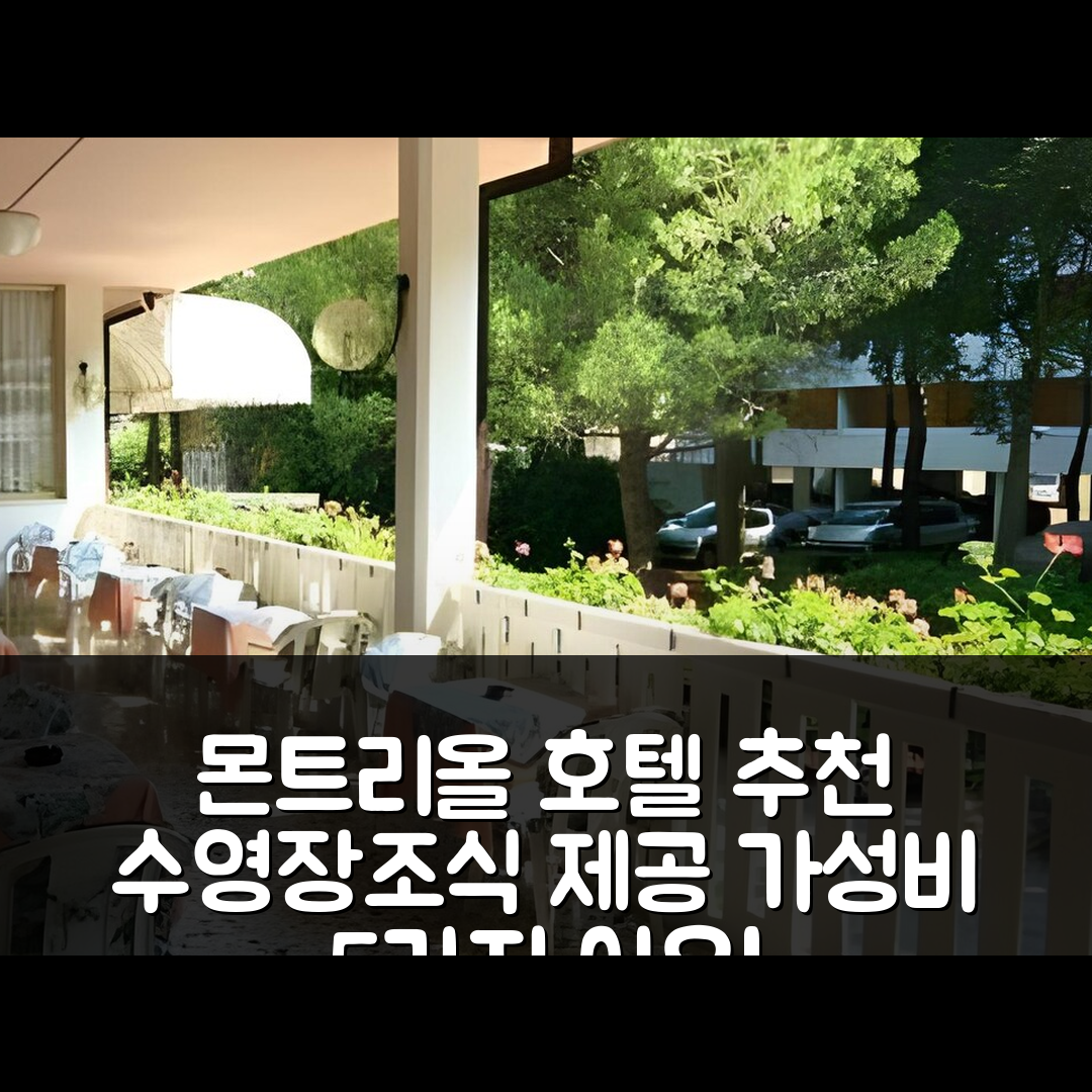 비비온네 숙소 여행 호텔 추천 몬트리올 호텔 | 수영장과 조식을 제공하는 가성비 5가지 이유