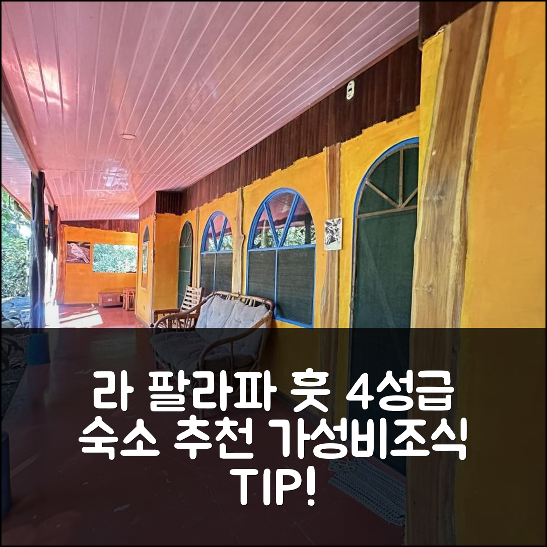 푸에르토 짐메네즈 숙소 여행 호텔 추천 라 팔라파 훗 네이처 호스텔 | 가성비와 조식이 매력적인 4성급 예약 팁 5가지