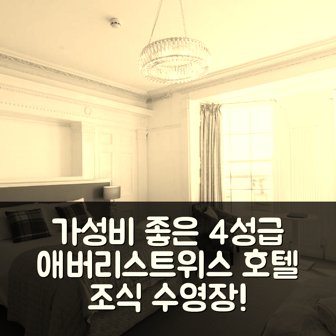 애버리스트위스 숙소 여행 호텔 추천 마린 스튜디오 | 4성급 조식과 수영장을 갖춘 가성비 좋은 장소 7가지 이유