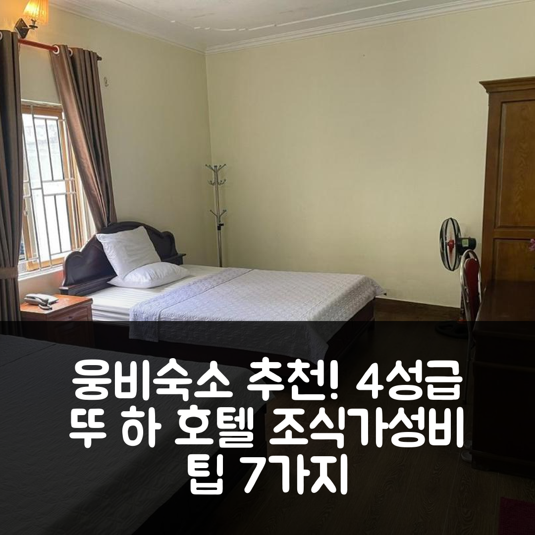 웅비 숙소 여행 호텔 추천 뚜 하 호텔 | 4성급 조식과 가성비 좋은 위치 및 예약 팁 7가지