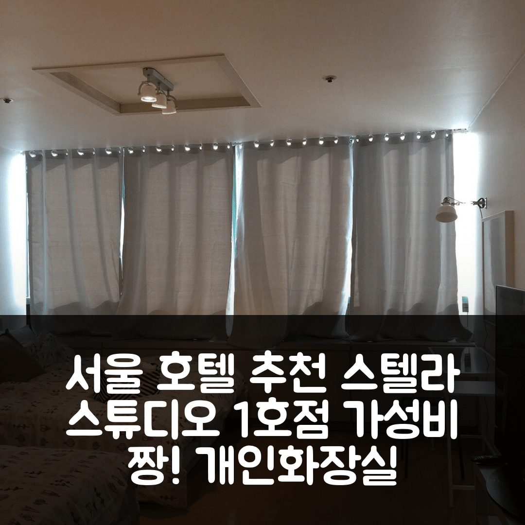 서울 숙소 여행 호텔 추천 스텔라 스튜디오 1호점 | 개인화장실과 가성비 뛰어난 와이파이 제공 5가지 이유