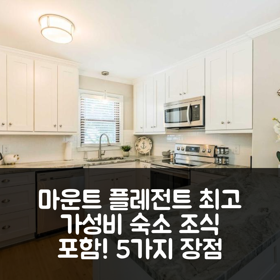 마운트 플레전트 숙소 여행 호텔 추천 모던 서던 컴포트 홈 | 가성비 뛰어난 위치와 조식 5가지 장점