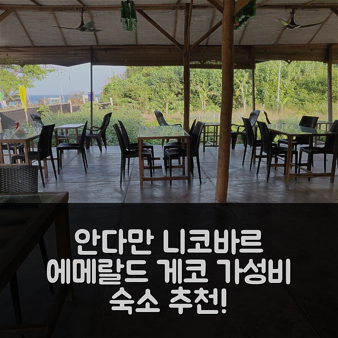 안다만 니코바르 제도 숙소 여행 호텔 추천 에메랄드 게코 리조트 네일 아일랜드 | 가성비와 수영장 조식 정보 7가지