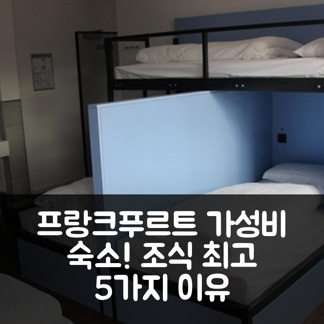 프랑크푸르트 숙소 여행 호텔 추천 유나이티드 호스텔 프랑크푸르트 시티 센터 | 가성비와 조식이 뛰어난 5가지 이유