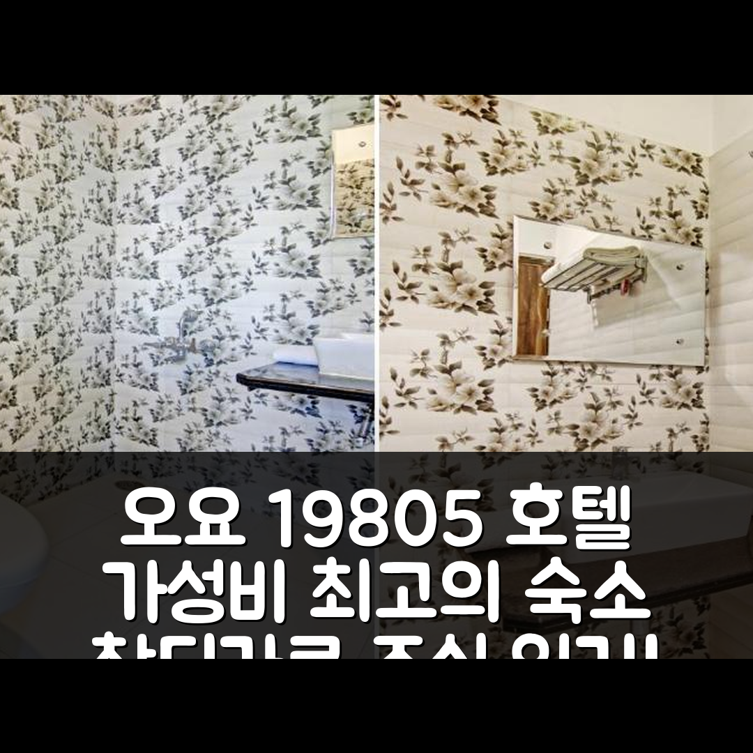 찬디가르 숙소 여행 호텔 추천 오요 19805 호텔 오3 | 가성비 뛰어난 위치와 조식이 매력적인 5가지 이유