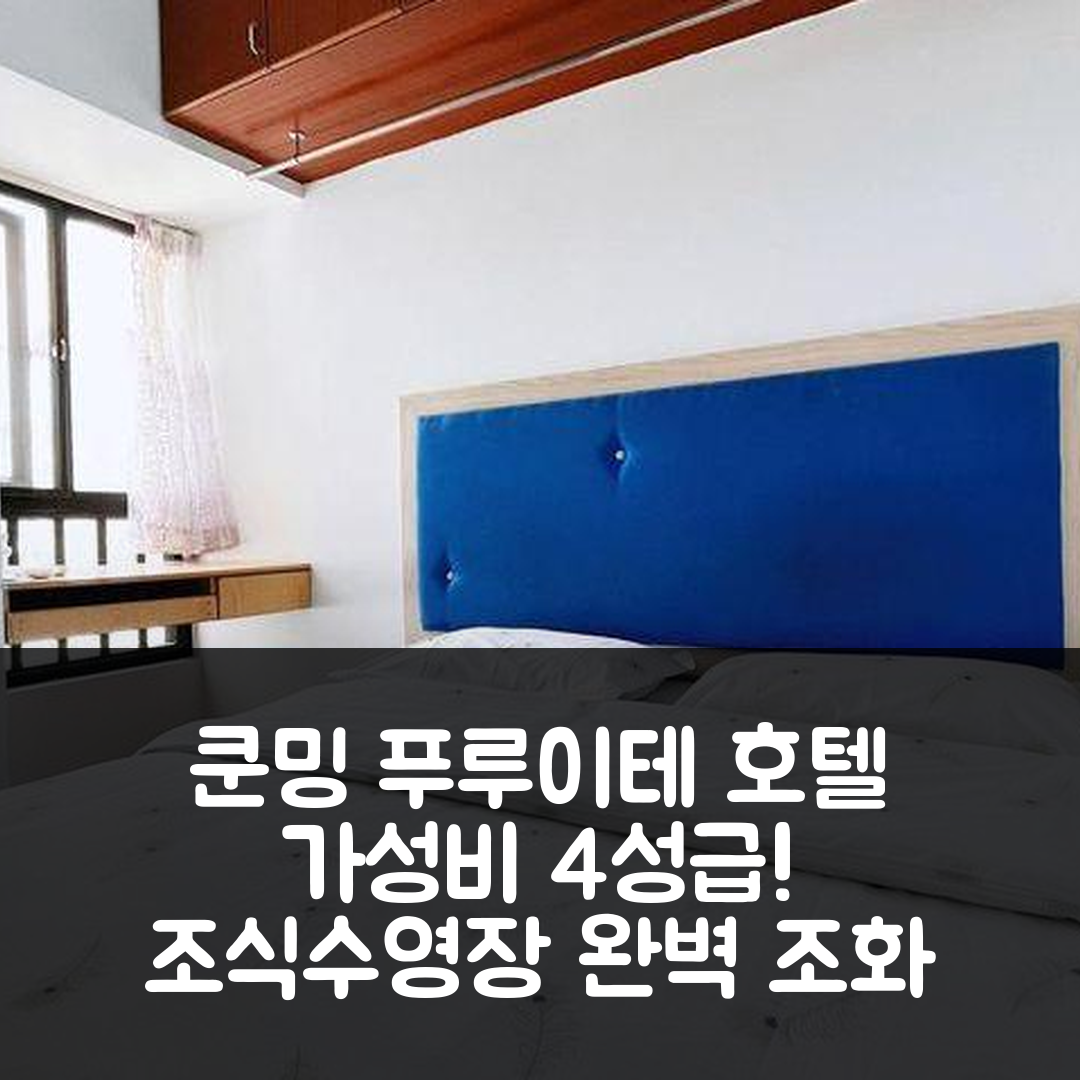 쿤밍 숙소 여행 호텔 추천 푸루이테 호텔 | 가성비 뛰어난 4성급 조식과 수영장의 완벽한 조화 7가지 팁