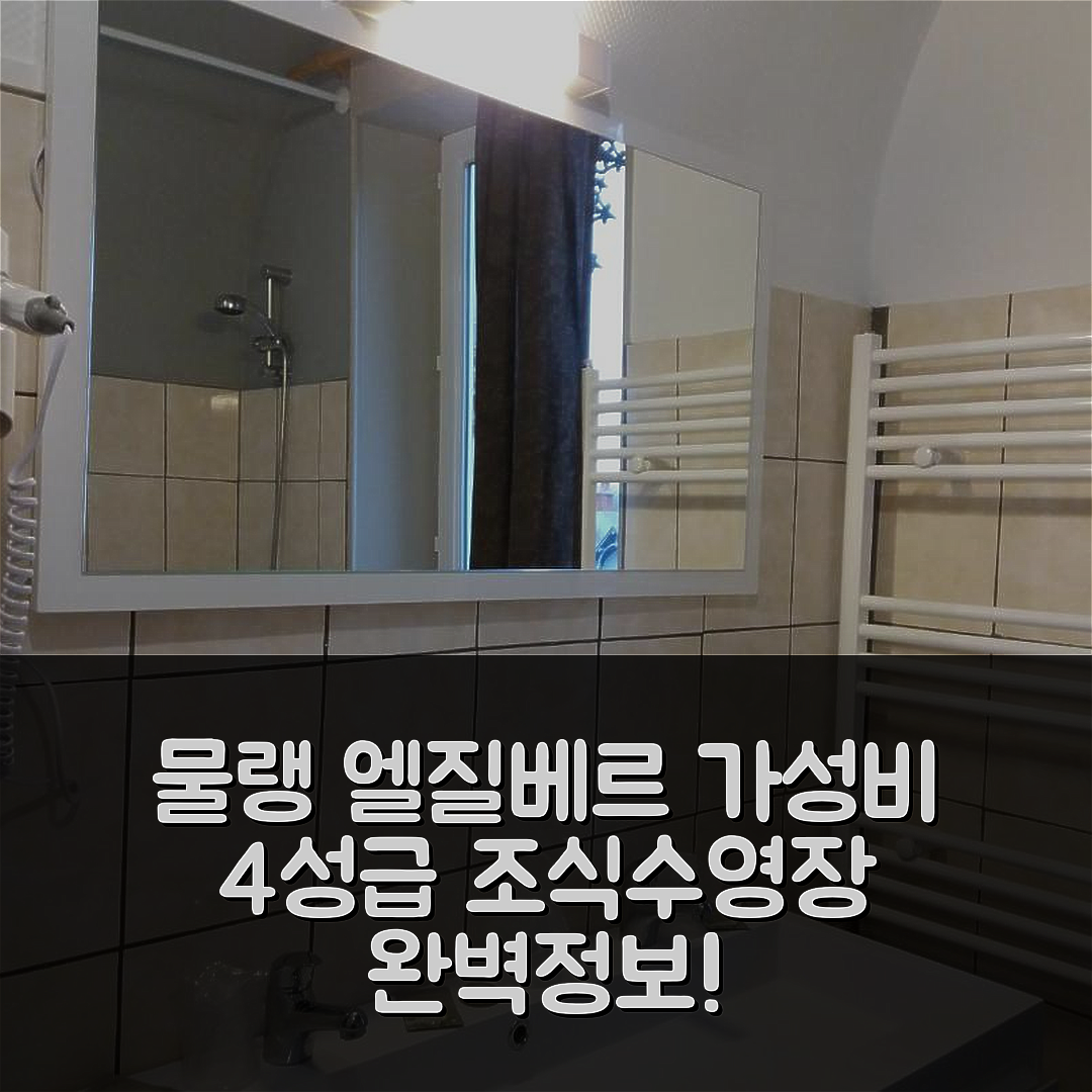 물랭 엘질베르 숙소 여행 호텔 추천 레 부이옹네 | 가성비 뛰어난 4성급 조식과 수영장 완벽 정보 6가지