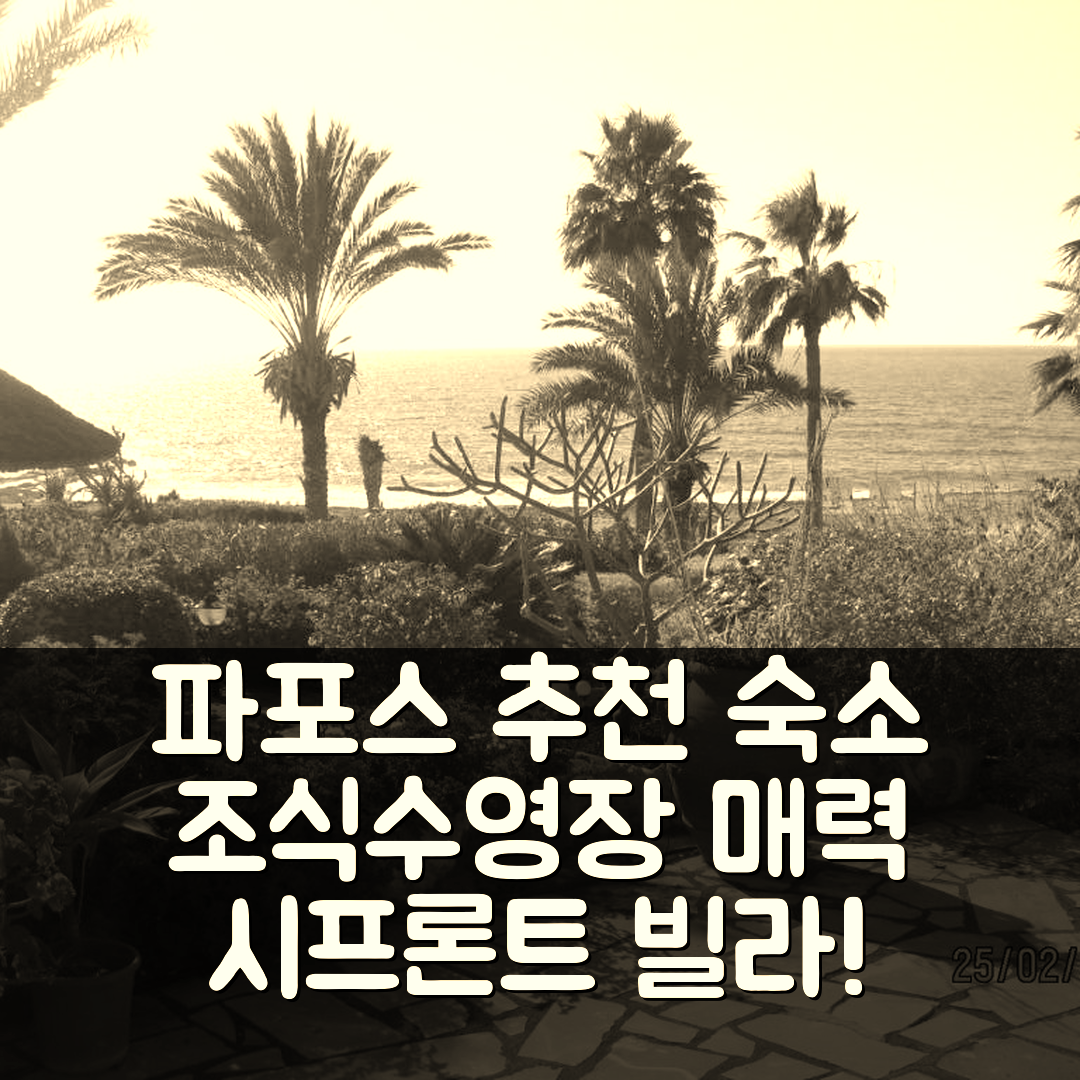 파포스 숙소 여행 호텔 추천 시프론트 빌라 키리스티나 | 조식과 수영장이 매력적인 5가지 이유