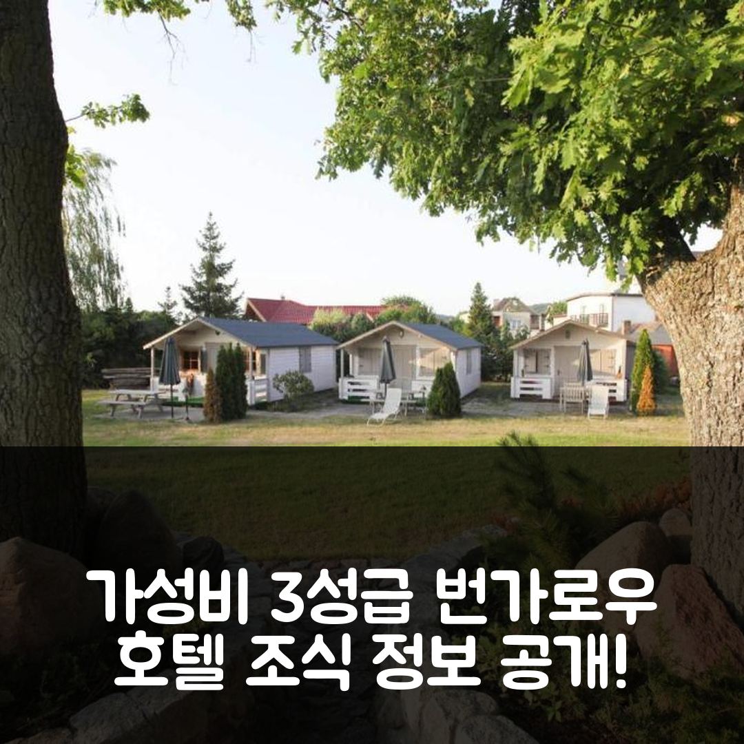 미엥지즈드로예 숙소 여행 호텔 추천 번가로우 호텔 | 가성비 좋은 3성급 위치와 조식 정보 5가지