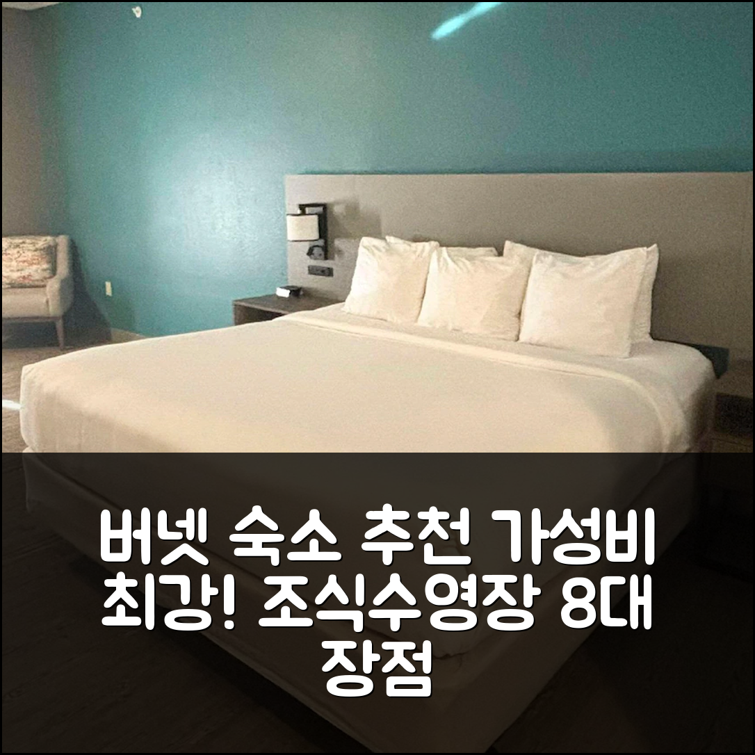 버넷 숙소 여행 호텔 추천 컴포트 인 앤 스위트 | 가성비 뛰어난 조식과 수영장 8가지 장점